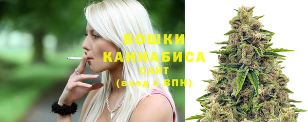 стафф Вязьма