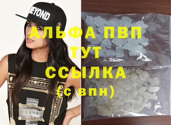 стафф Вязьма