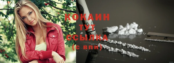 стафф Вязьма