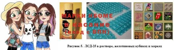 стафф Вязьма