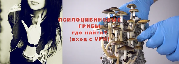 ALPHA PVP Вяземский