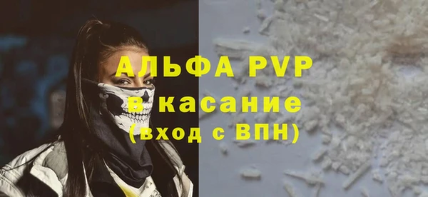 стафф Вязьма