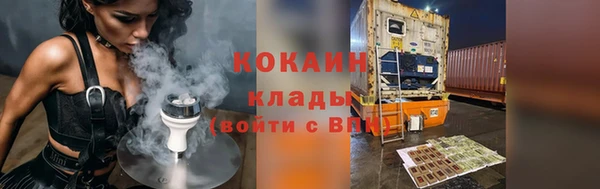 стафф Вязьма
