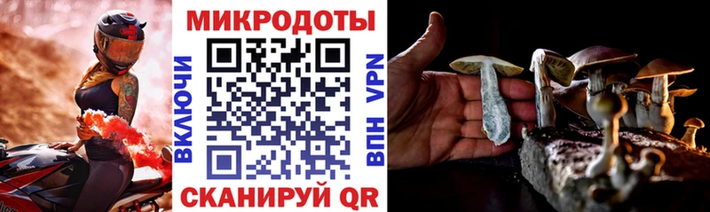 Купить где  Нариманов  Галлюциногенные грибы Cubensis 